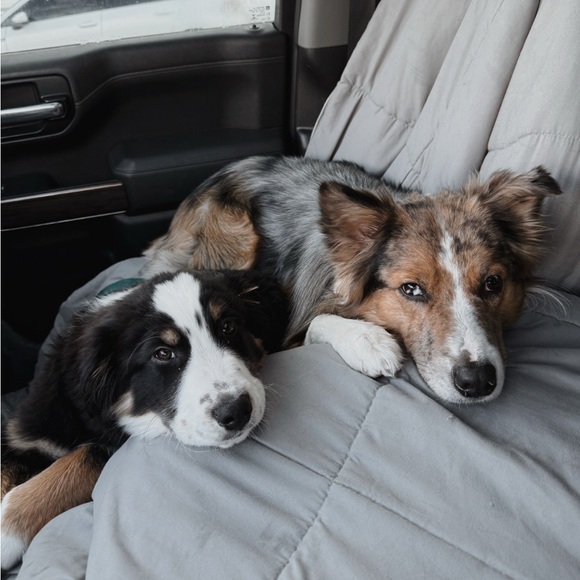 ▪ABOUT ME▪ - Picture 2 of 2